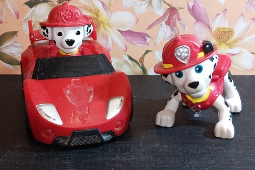 Personaggi paw patrol - personaggi,